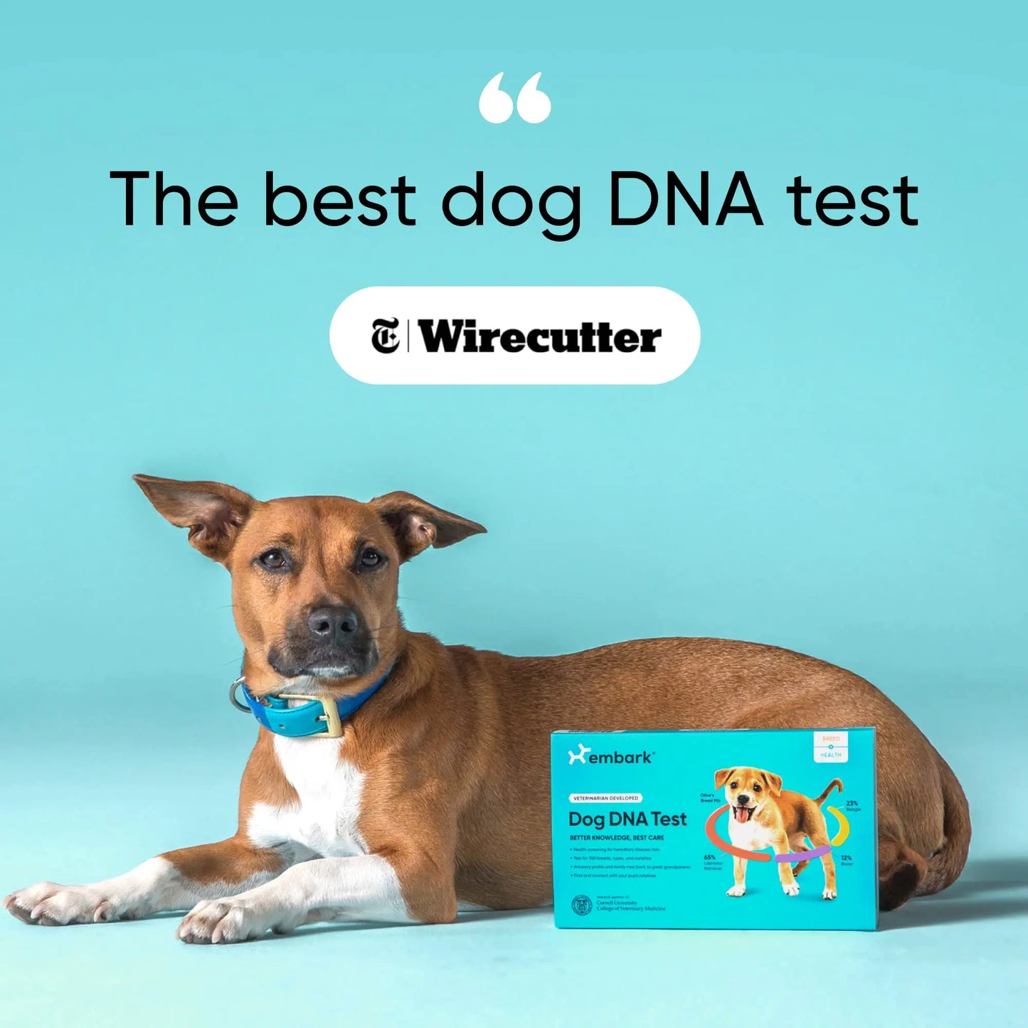 Embark Breed & Health Kit - Dog DNA Test - Discover Breed, Ancestry, Relative Finder, Genetic Health, Traits, COI - Planet First Market