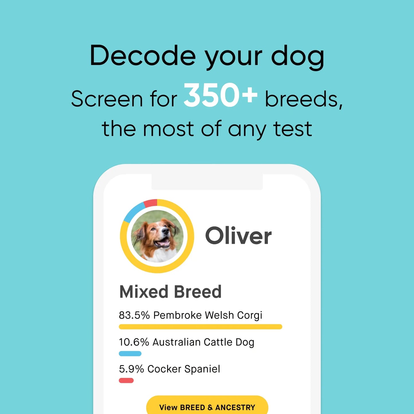 Embark Breed & Health Kit - Dog DNA Test - Discover Breed, Ancestry, Relative Finder, Genetic Health, Traits, COI - Planet First Market