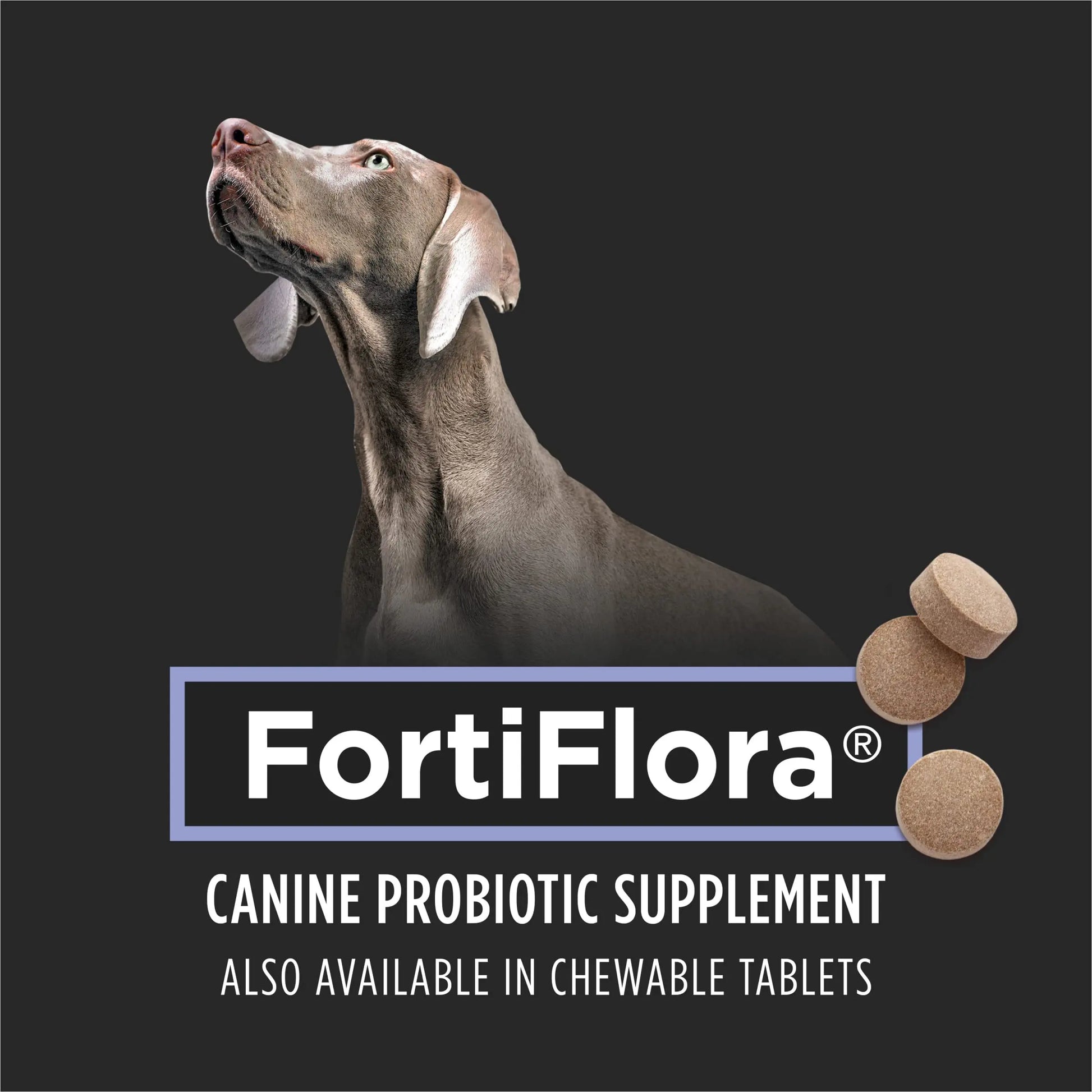 Purina Pro Plan Veterinary Supplements FortiFlora Dog Probiotic Supplement, Canine Nutritional Supplement - 30 Ct. Box - Planet First Market