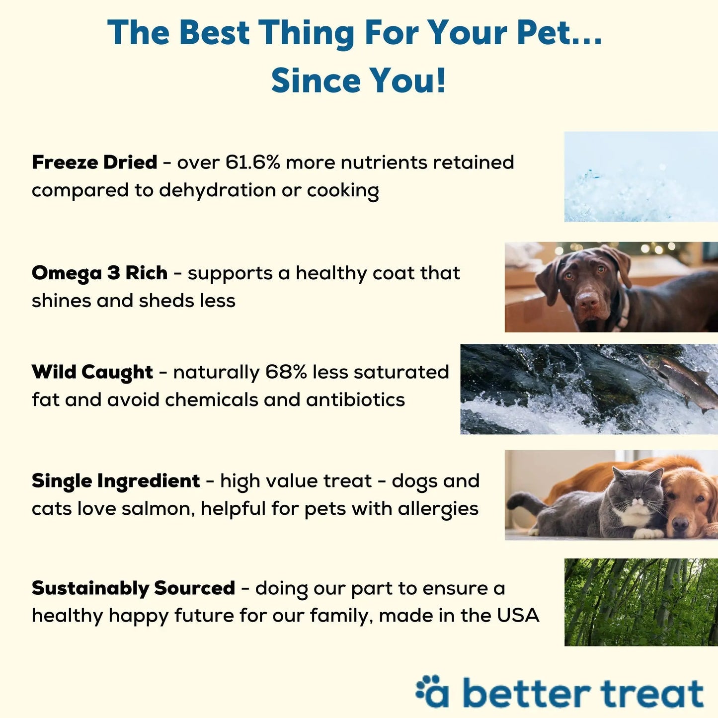 A Better Treat – Freeze Dried Salmon Dog Treats, Wild Caught, Single Ingredient | Natural High Value | Gluten Free, Grain Free, High Protein, Diabetic Friendly | Natural Fish Oil | Made in The USA A Better Treat