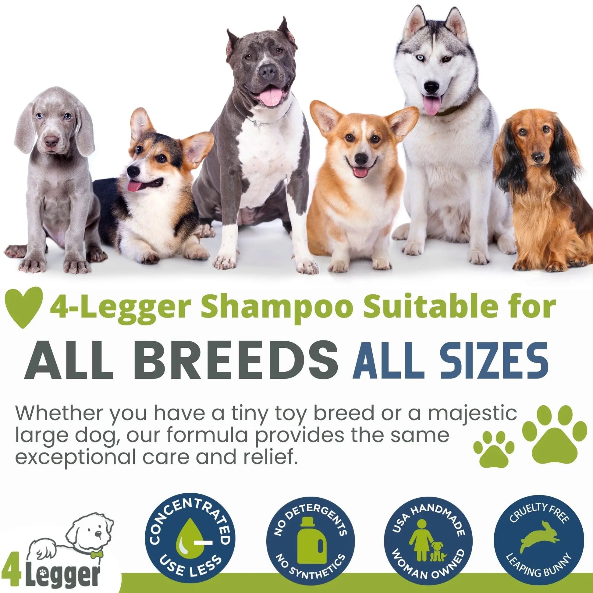 4-Legger Certified Organic Dog Shampoo - All Natural and Hypoallergenic with Aloe and Lemongrass, Soothing for Normal, Dry, Itchy or Allergy Sensitive Skin - Biodegradable - Made in USA - 16 oz 4Legger