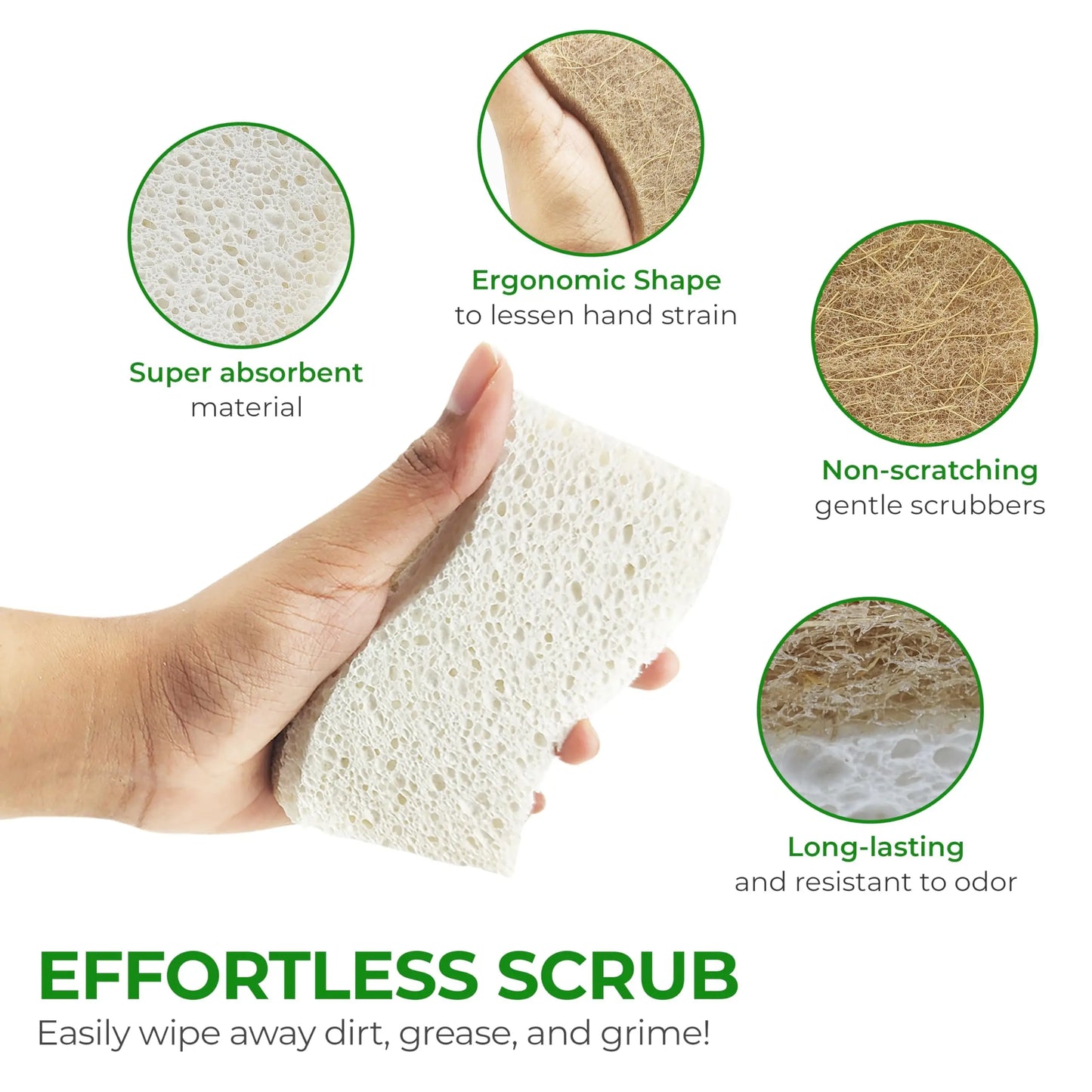 AIRNEX Natural Kitchen Sponge - Biodegradable Compostable Cellulose and Coconut Scrubber Sponge - Pack of 12 Eco Friendly Sponges for Dishes - Planet First Market