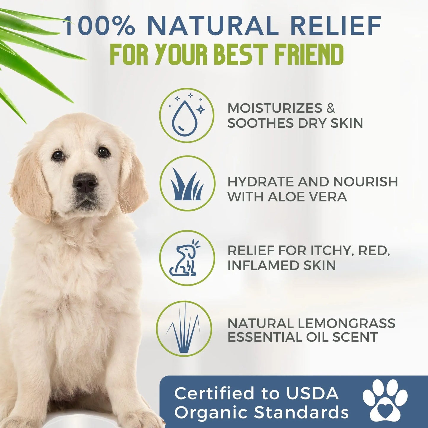 4-Legger Certified Organic Dog Shampoo - All Natural and Hypoallergenic with Aloe and Lemongrass, Soothing for Normal, Dry, Itchy or Allergy Sensitive Skin - Biodegradable - Made in USA - 16 oz 4Legger