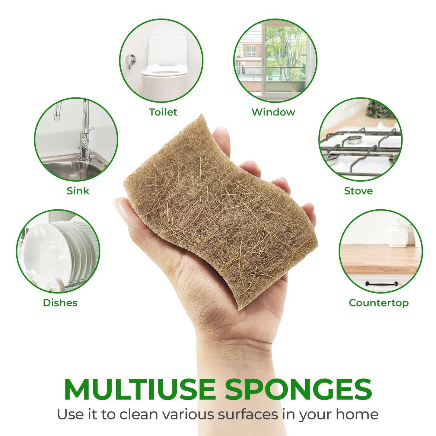 AIRNEX Natural Kitchen Sponge - Biodegradable Compostable Cellulose and Coconut Scrubber Sponge - Pack of 12 Eco Friendly Sponges for Dishes - Planet First Market