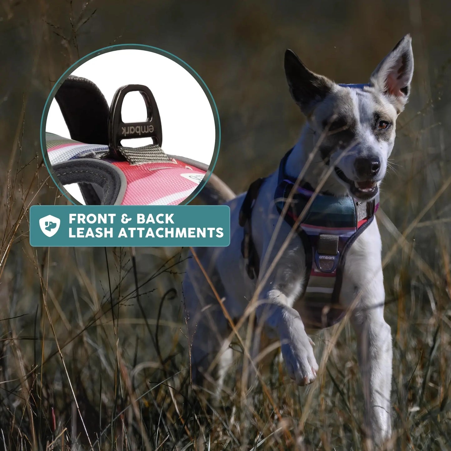 Embark Urban Dog Harness, Reflective Trim No Pull Dog Harness Medium Sized Dog - Military Grade Nylon, Front Clip Dog Harness with Gel Lined Handle. Soft & Padded Puppy Dog Harnesses for Any Breed - Planet First Market