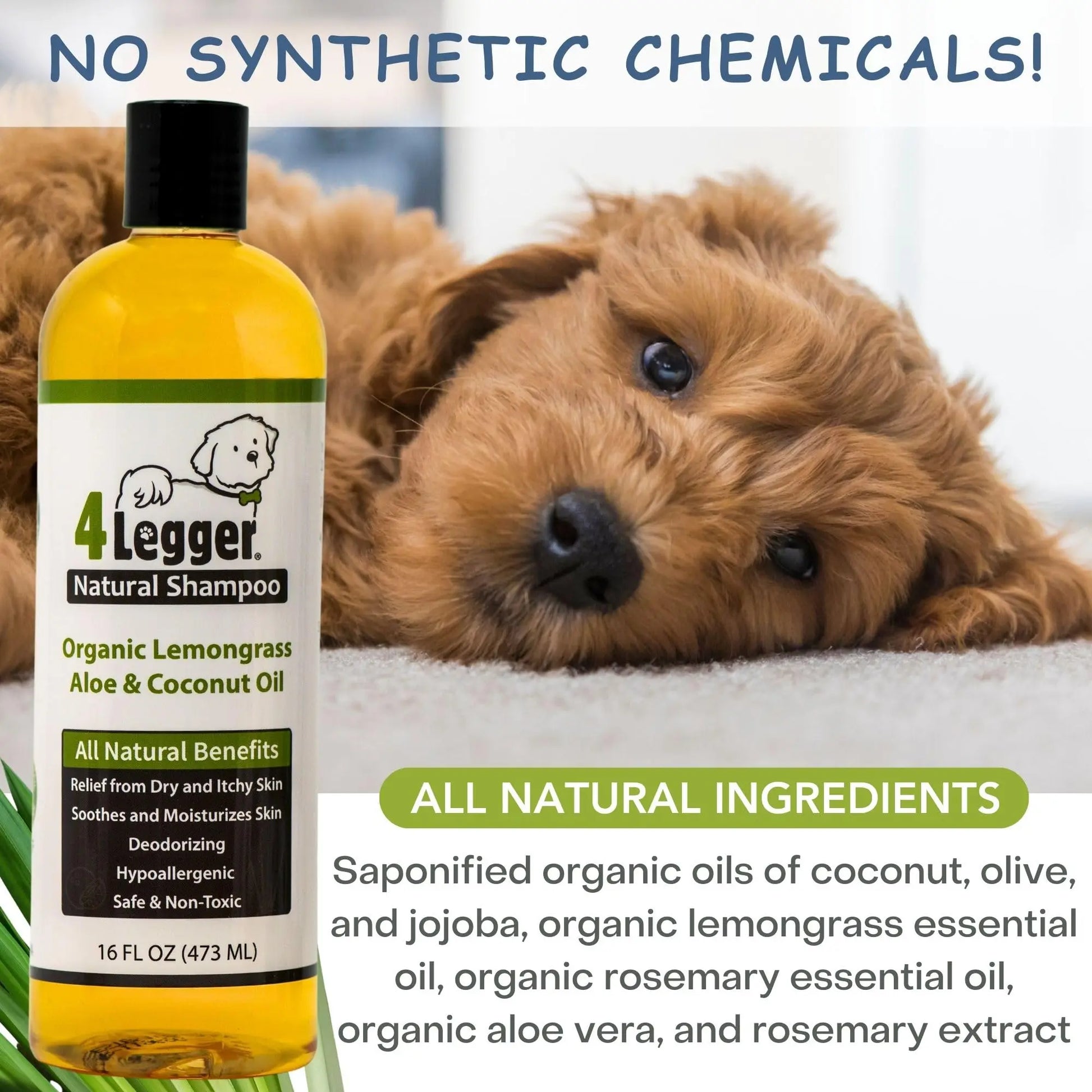 4-Legger Certified Organic Dog Shampoo - All Natural and Hypoallergenic with Aloe and Lemongrass, Soothing for Normal, Dry, Itchy or Allergy Sensitive Skin - Biodegradable - Made in USA - 16 oz 4Legger